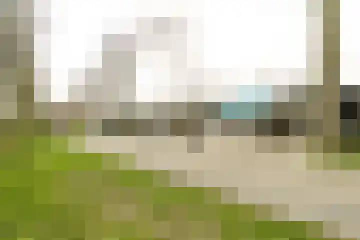 Van Riebeecklaan 11 Haarlem thumbnail 41