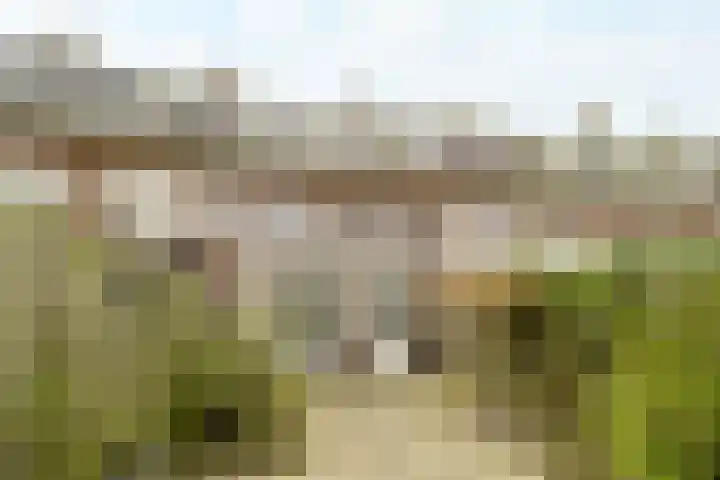 Van Riebeecklaan 11 Haarlem thumbnail 5