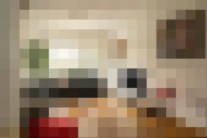 Van Riebeecklaan 11 Haarlem thumbnail 7