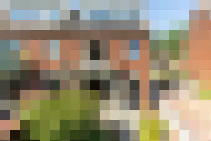Van Riebeecklaan 25 Haarlem thumbnail 15