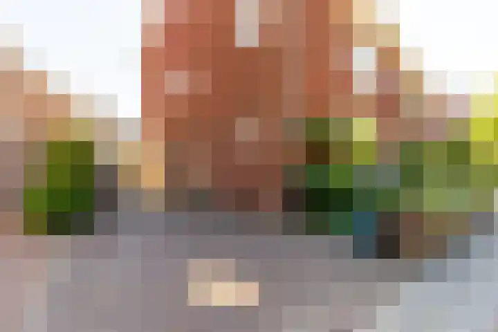 Van Riebeecklaan 25 Haarlem thumbnail 31