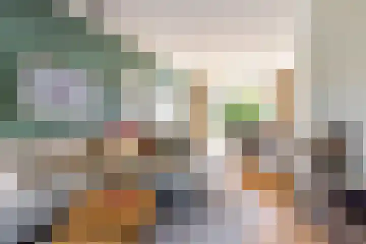 Van Riebeecklaan 25 Haarlem thumbnail 4