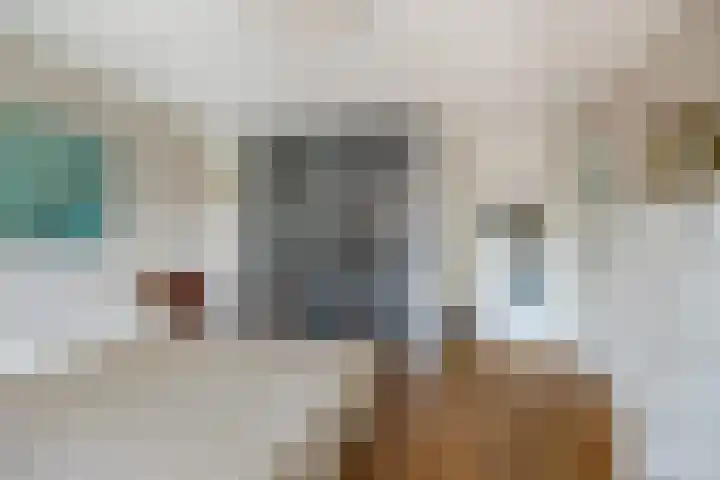 Van Riebeecklaan 27 Haarlem thumbnail 16