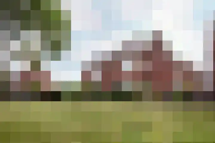 Van Riebeecklaan 27 Haarlem thumbnail 30