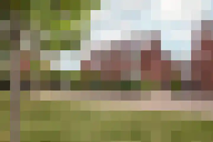 Van Riebeecklaan 27 Haarlem thumbnail 31