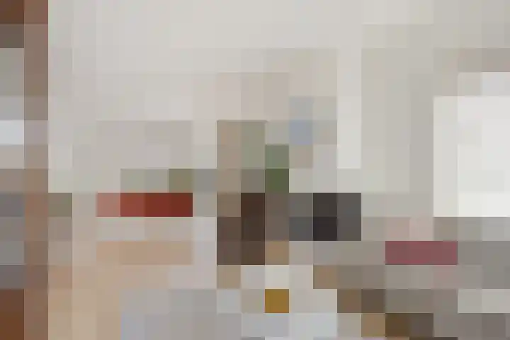 Van Riebeecklaan 27 Haarlem thumbnail 6