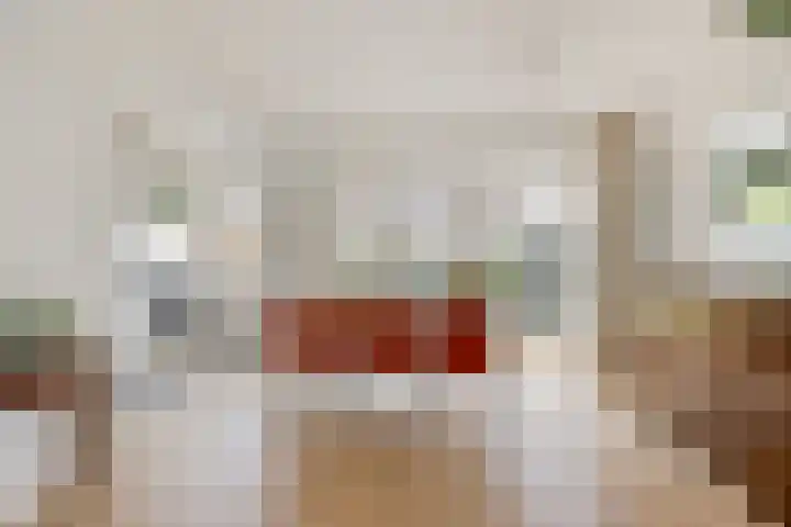 Van Riebeecklaan 27 Haarlem thumbnail 7