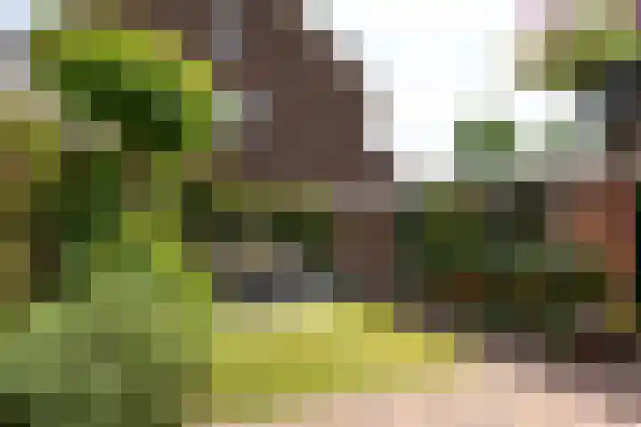 Van Riebeecklaan 27 Haarlem thumbnail 9