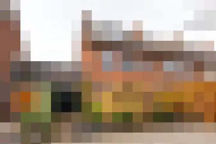 Van Riebeecklaan 50 dans Haarlem