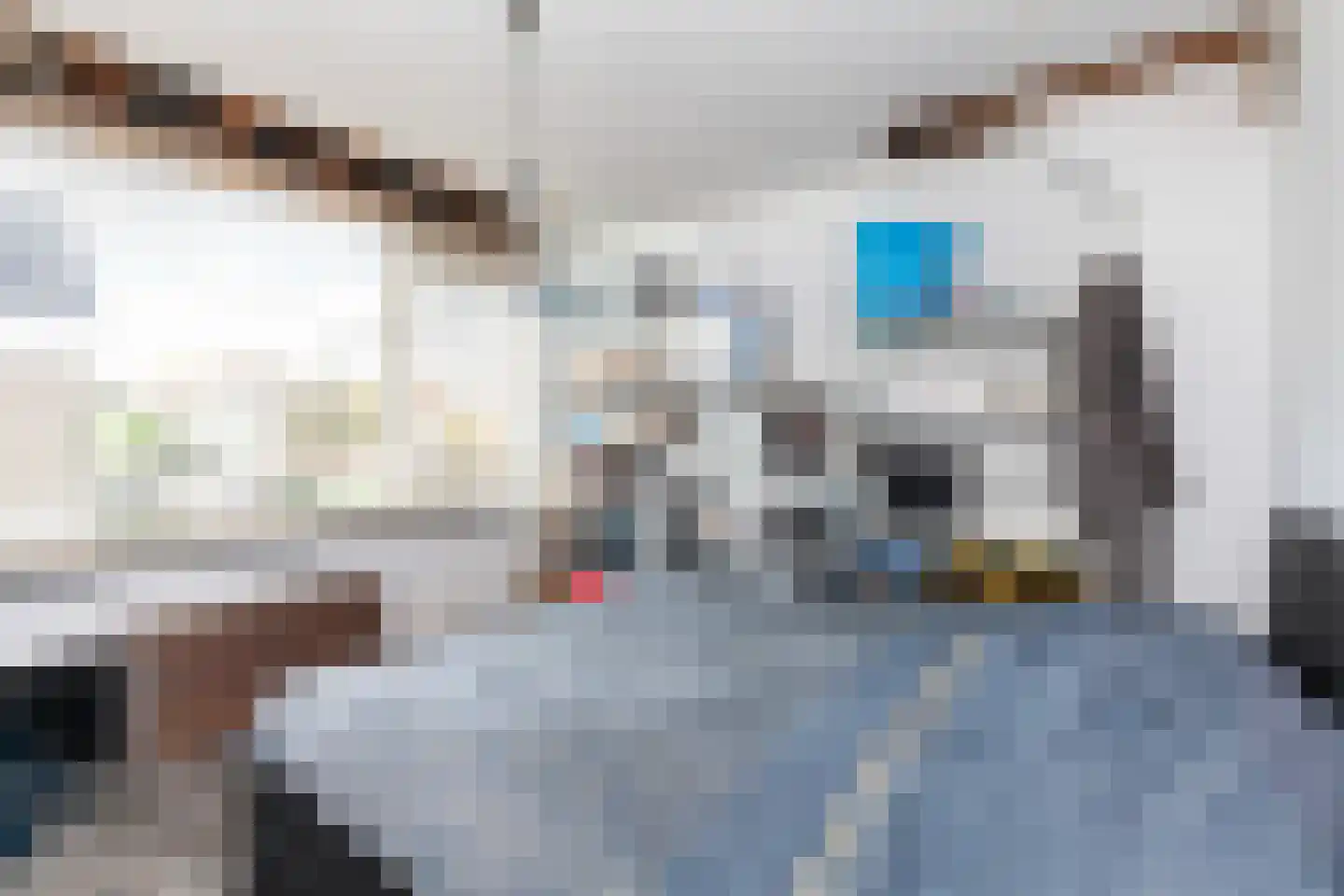 Van Riebeekstraat 2 Ridderkerk thumbnail 17