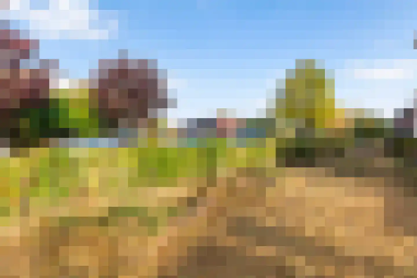 Van Riebeekstraat 2 Ridderkerk thumbnail 23