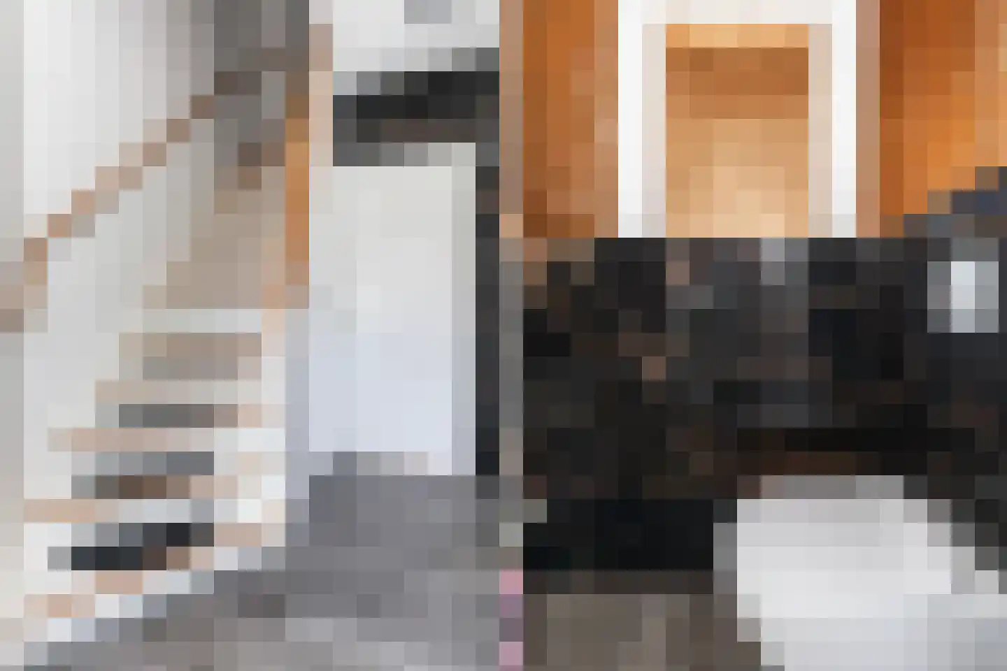 Van Riebeekstraat 2 Ridderkerk thumbnail 5
