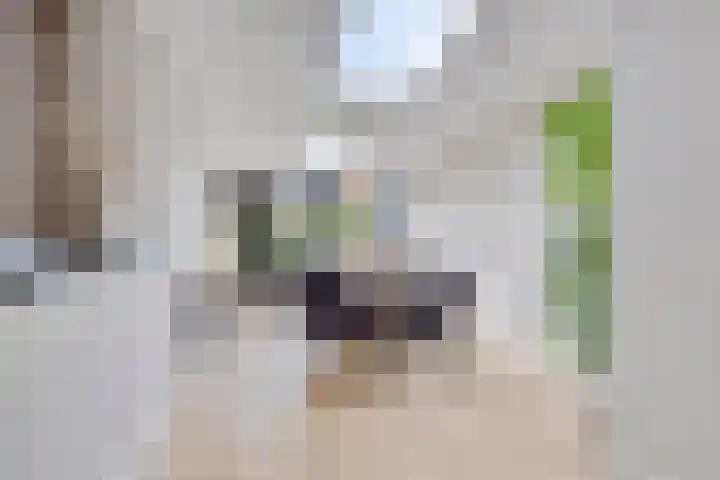 Van Riebeekstraat 64 Enschede thumbnail 4