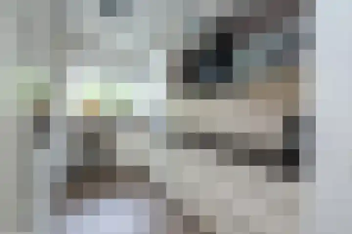 Van Rielstraat 16 Zwolle thumbnail 11