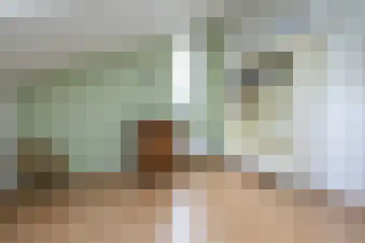 Van Rielstraat 16 Zwolle thumbnail 31