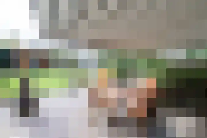 Van Rielstraat 16 Zwolle thumbnail 35