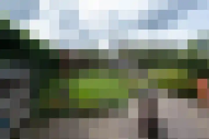 Van Rielstraat 16 Zwolle thumbnail 36