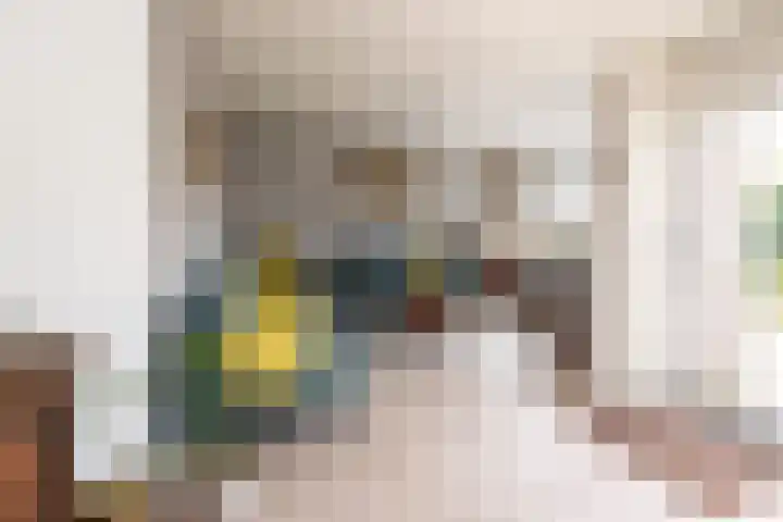 Van Rielstraat 16 Zwolle thumbnail 8