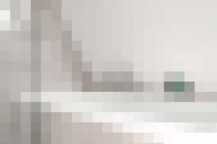van Rietlaan 4 Linschoten thumbnail 31