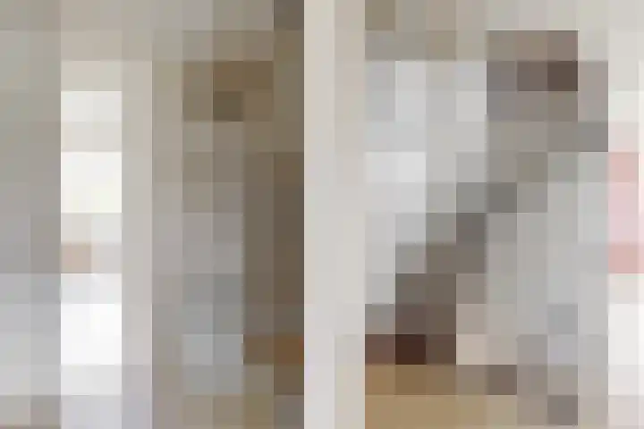 van Rietlaan 4 Linschoten thumbnail 33