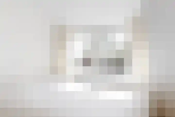 van Rietlaan 4 Linschoten thumbnail 36