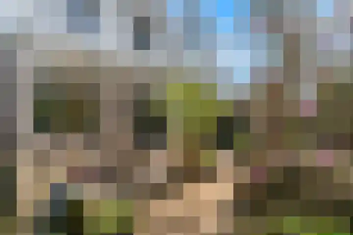 van Rietlaan 4 Linschoten thumbnail 42