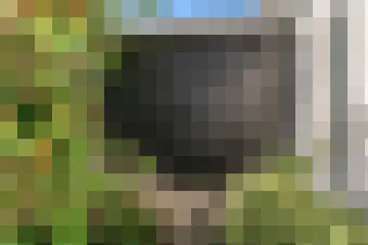 van Rietlaan 4 Linschoten thumbnail 44