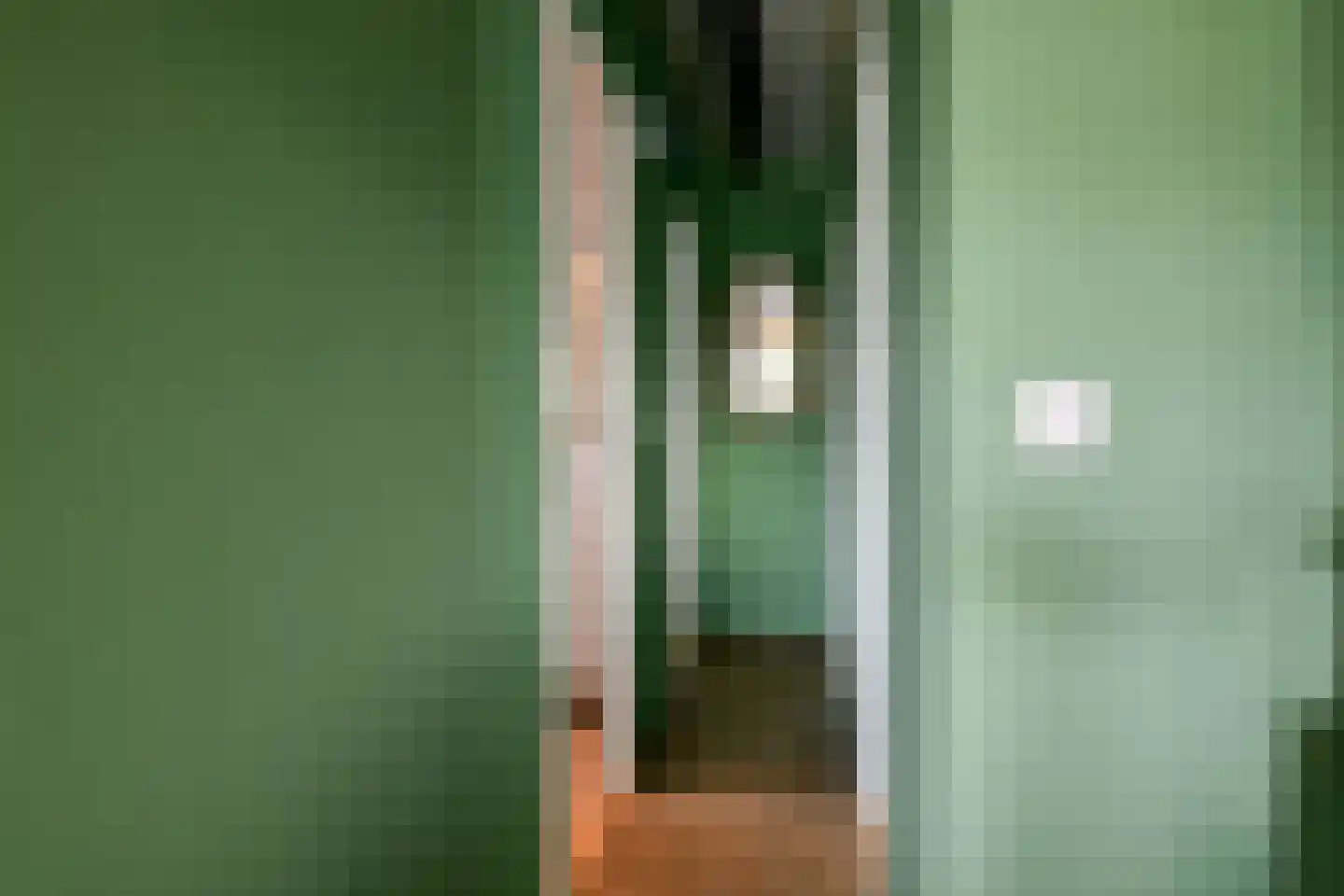 Van Saanelaan 10 Jisp thumbnail 10