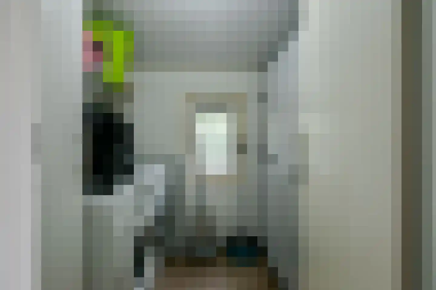 Van Saanelaan 10 Jisp thumbnail 16