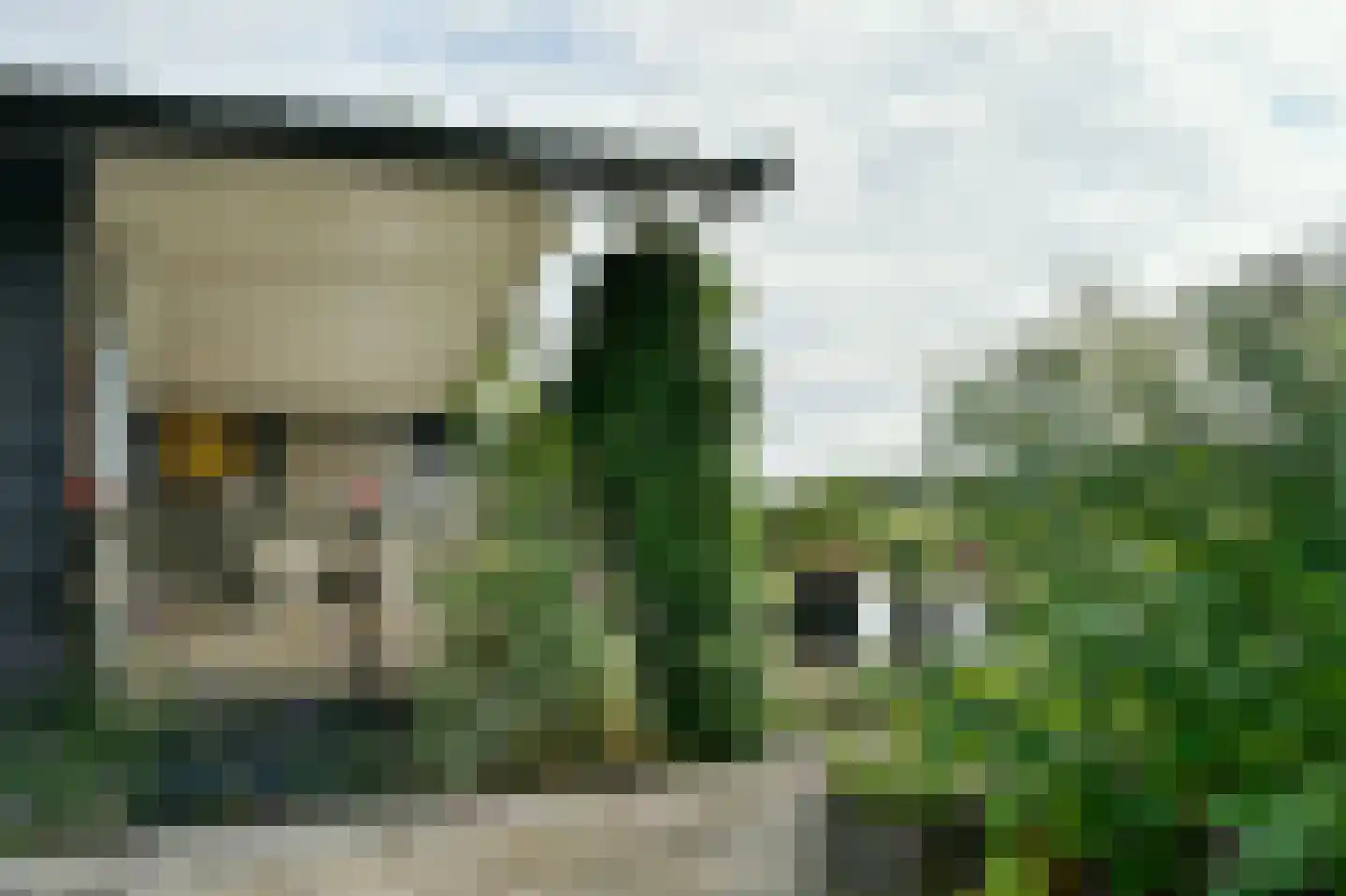 Van Saanelaan 10 Jisp thumbnail 19