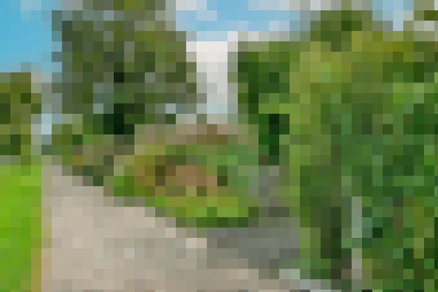 Van Saanelaan 10 Jisp thumbnail 24