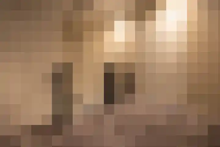 van Schagenhof 9 Ter Aar thumbnail 24