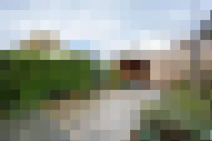 van Schagenhof 9 Ter Aar thumbnail 29