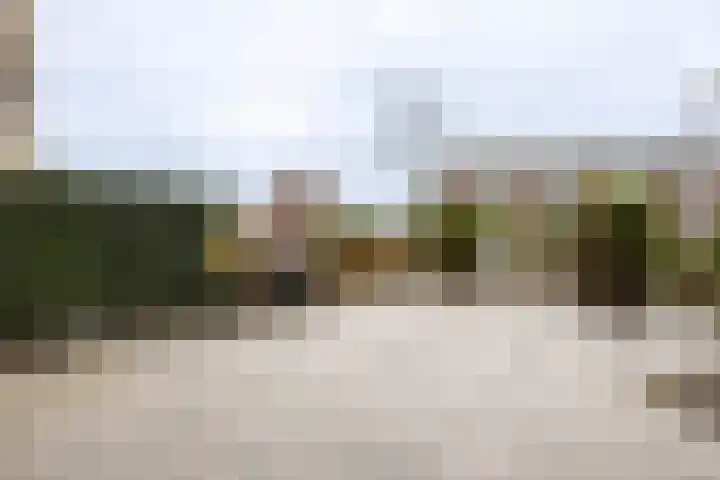 van Schagenhof 9 Ter Aar thumbnail 33