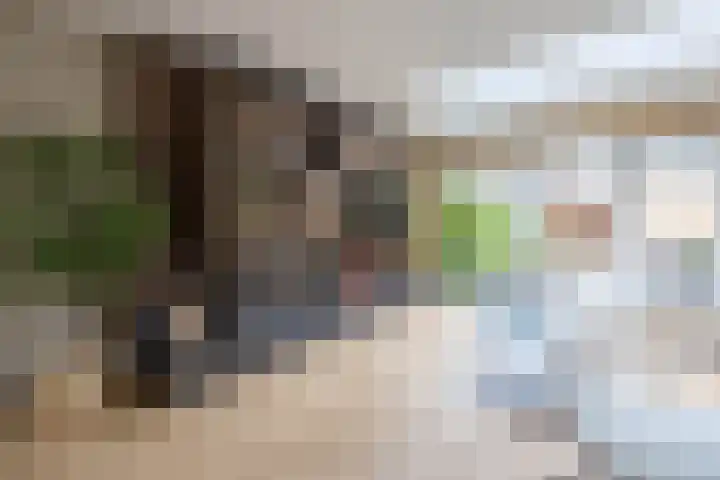 van Schagenhof 9 Ter Aar thumbnail 7