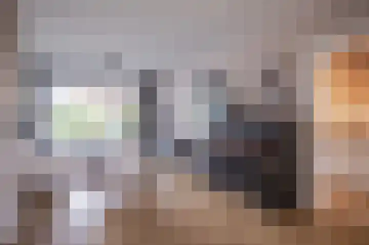 van Schaikstraat 19 Duiven thumbnail 13