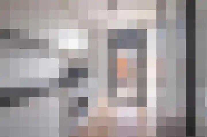 van Schaikstraat 19 Duiven thumbnail 18