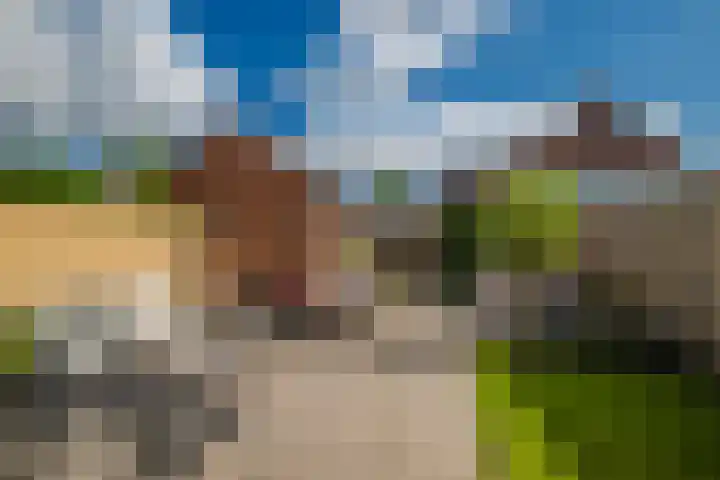 van Schaikstraat 19 Duiven thumbnail 23