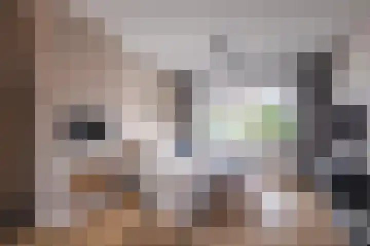 van Schaikstraat 19 Duiven thumbnail 7