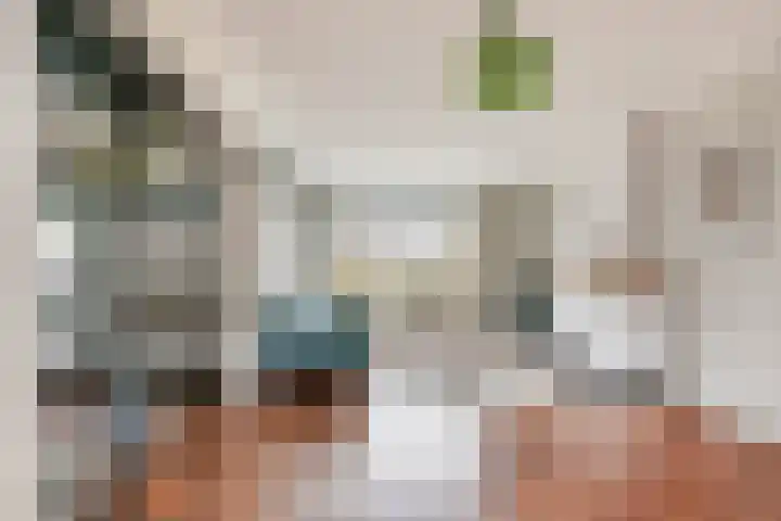 van Schaikstraat 4 Duiven thumbnail 13