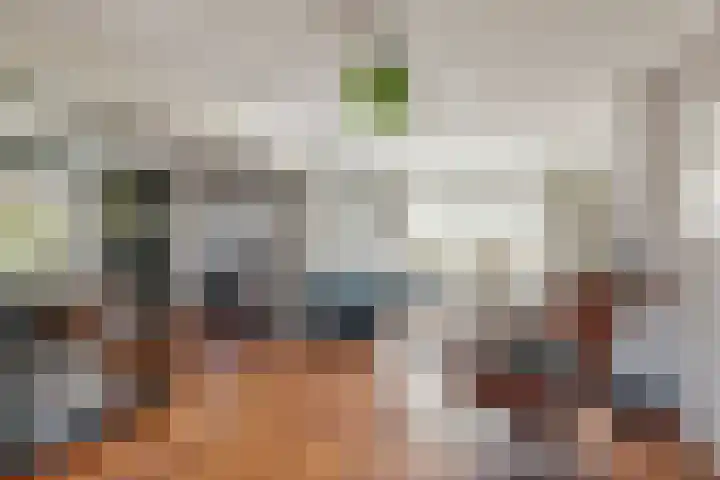 van Schaikstraat 4 Duiven thumbnail 18