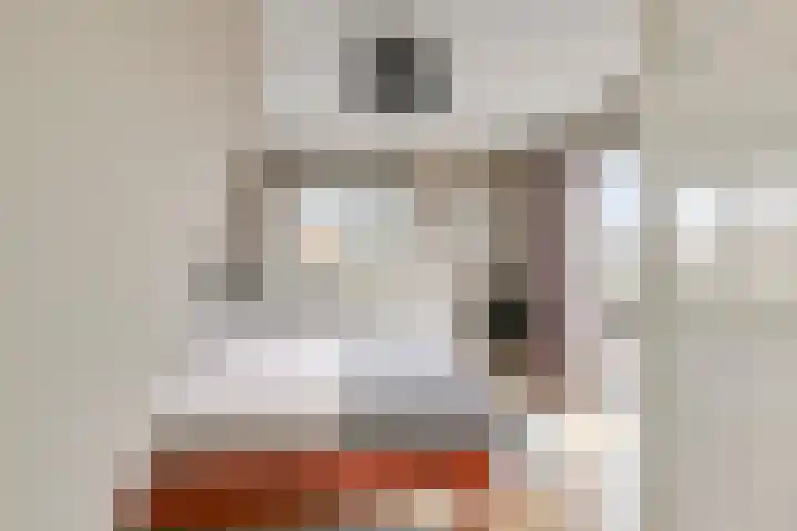 van Schaikstraat 4 Duiven thumbnail 39