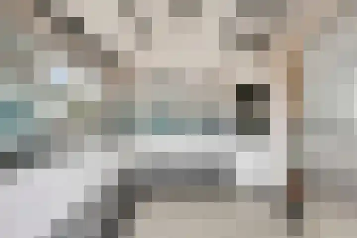 van Schaikstraat 4 Duiven thumbnail 4