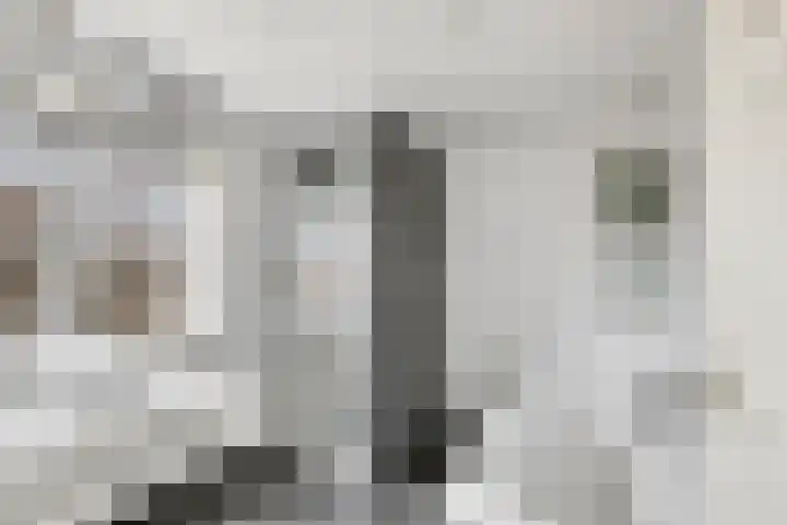 van Schaikstraat 4 Duiven thumbnail 44