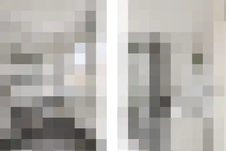 van Schaikstraat 4 Duiven thumbnail 46