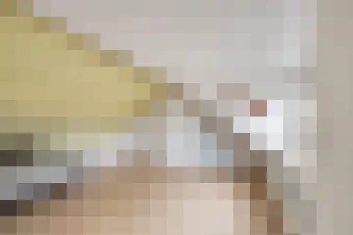 van Schaikstraat 4 Duiven thumbnail 47