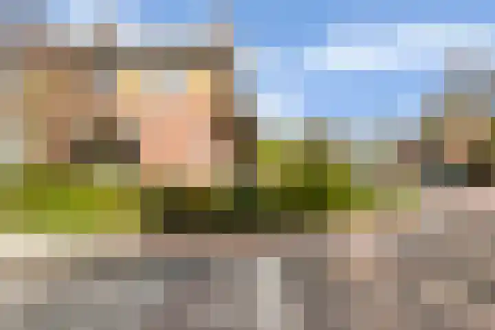 van Schaikstraat 4 Duiven thumbnail 5
