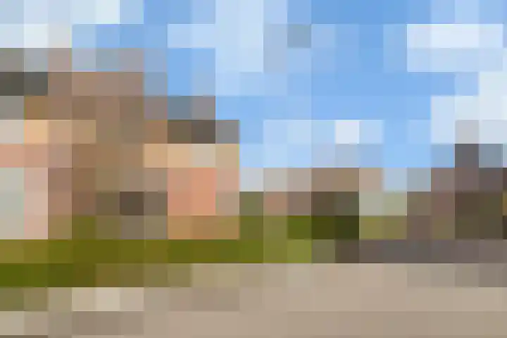 van Schaikstraat 4 Duiven thumbnail 6