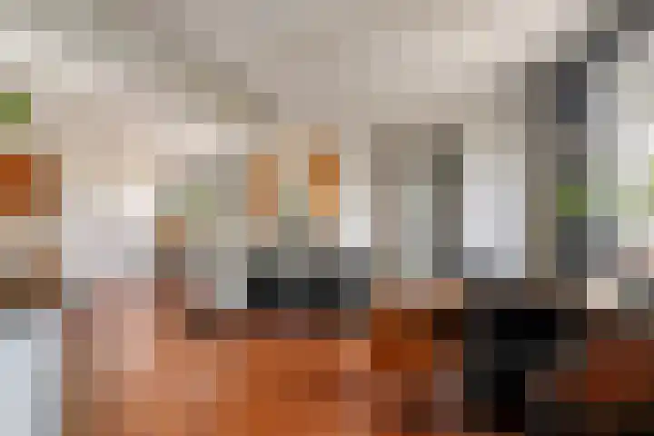 van Schaikstraat 4 Duiven thumbnail 8
