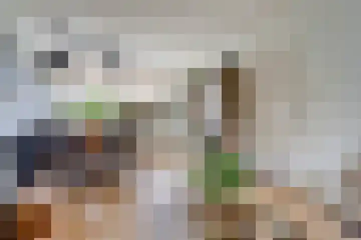 van Slotendreef 25 Rucphen thumbnail 10